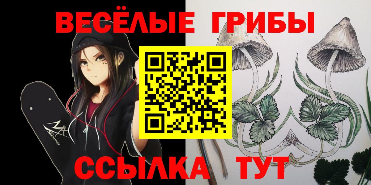 Псилоцибиновые грибы MAGIC MUSHROOMS Глазов