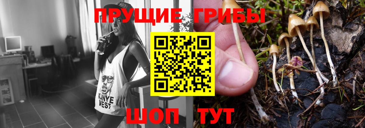 Галлюциногенные грибы мухоморы  Глазов  где найти наркотики  Галлюциногенные грибы MAGIC MUSHROOMS 