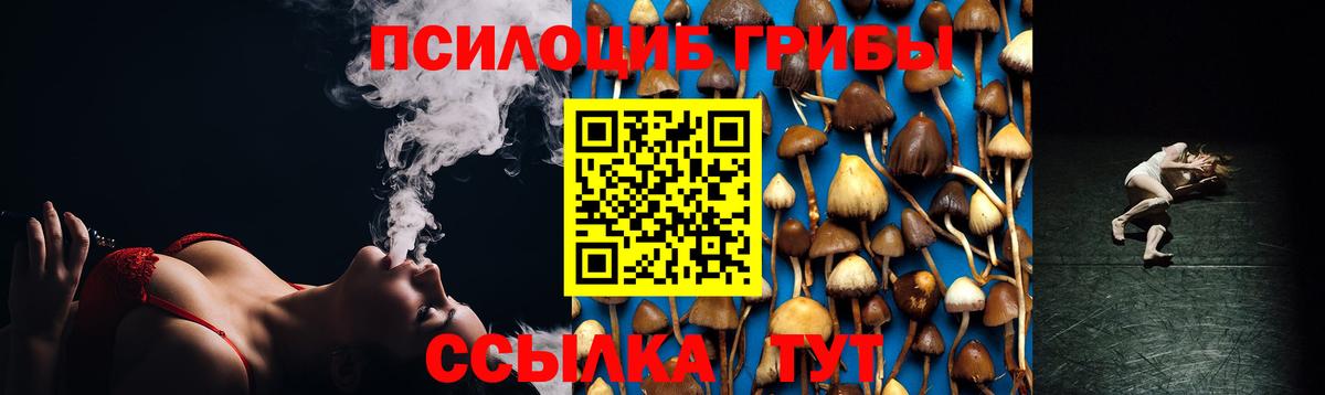 Галлюциногенные грибы мухоморы  Вход с VPN  Глазов 